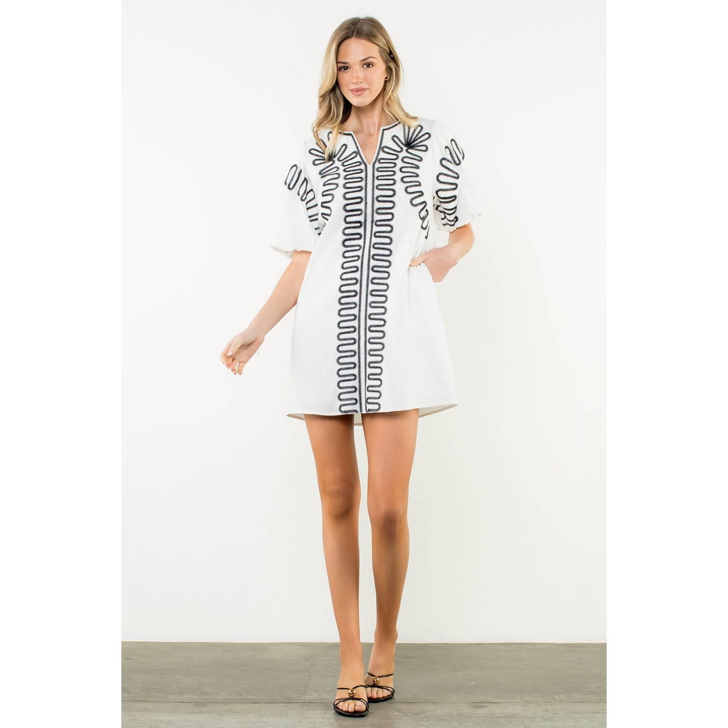 Amelia Embroidered Puff Sleeve V-Neck Dress: Black