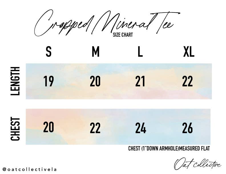 USA FOIL Cropped Mineral Graphic Top: CARDINAL