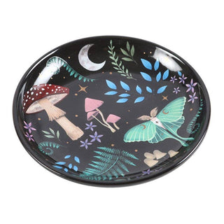 Dark Forest Dice Dish