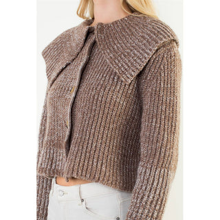 Mihaly Cropped Knitted Collar Cardigan