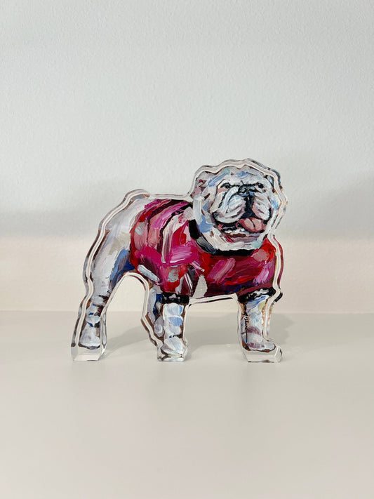"Bulldog Red Shirt" acrylic shelfie: Small
