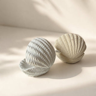 Handcrafted Sea Clam Shell Ring Box: Beige + Mother of Pearl Terrazzo