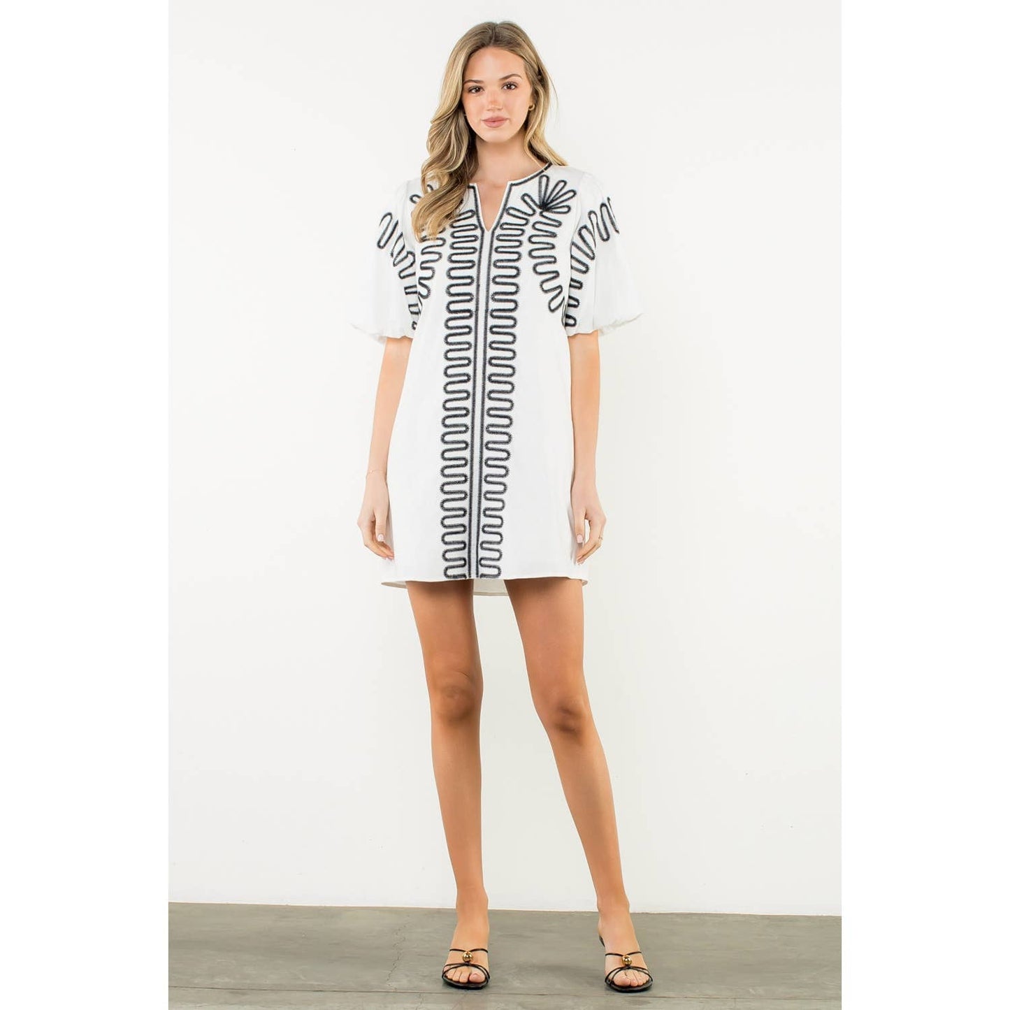 Amelia Embroidered Puff Sleeve V-Neck Dress: Black