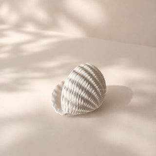 Handcrafted Sea Clam Shell Ring Box: Beige + Mother of Pearl Terrazzo