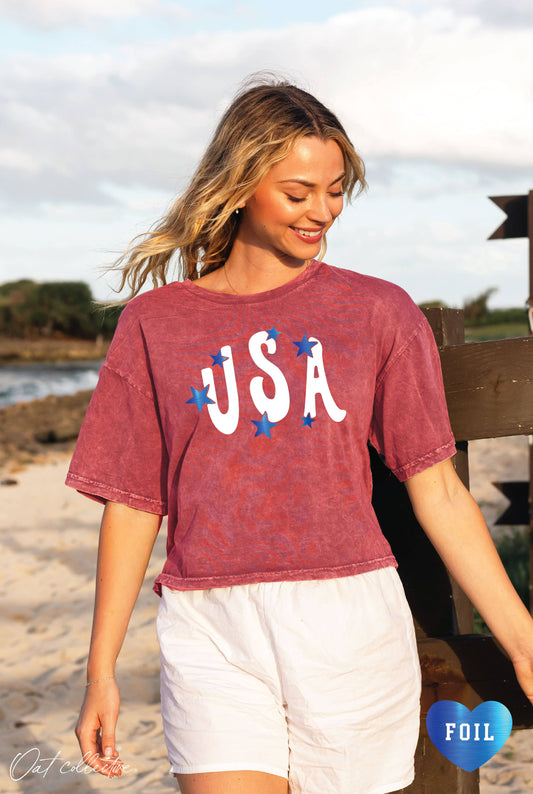 USA FOIL Cropped Mineral Graphic Top: CARDINAL