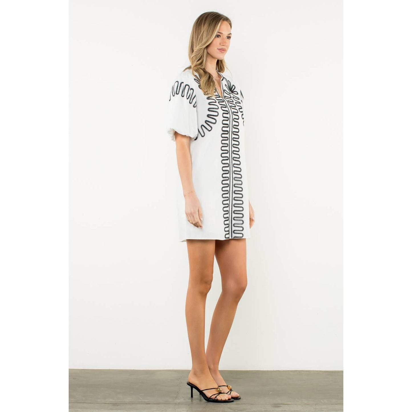 Amelia Embroidered Puff Sleeve V-Neck Dress: Black