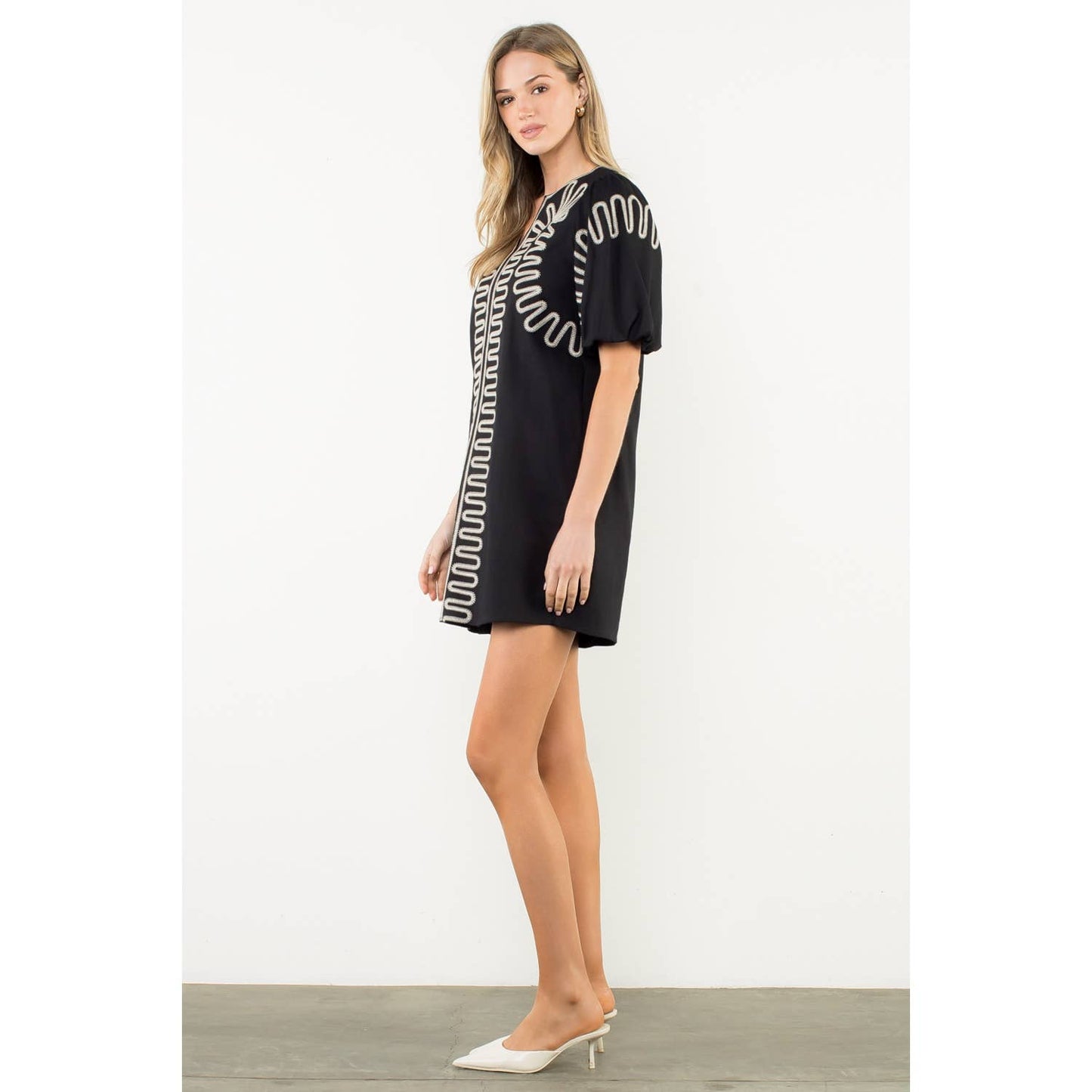 Amelia Embroidered Puff Sleeve V-Neck Dress: Black