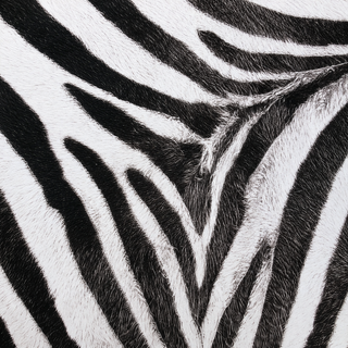 Zebra Noir Safari Club Mahjong Mat