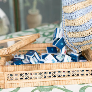 Blue & White House Tiles