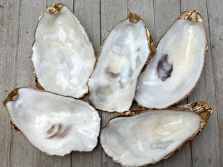 Large Oyster Shell Dice Dish