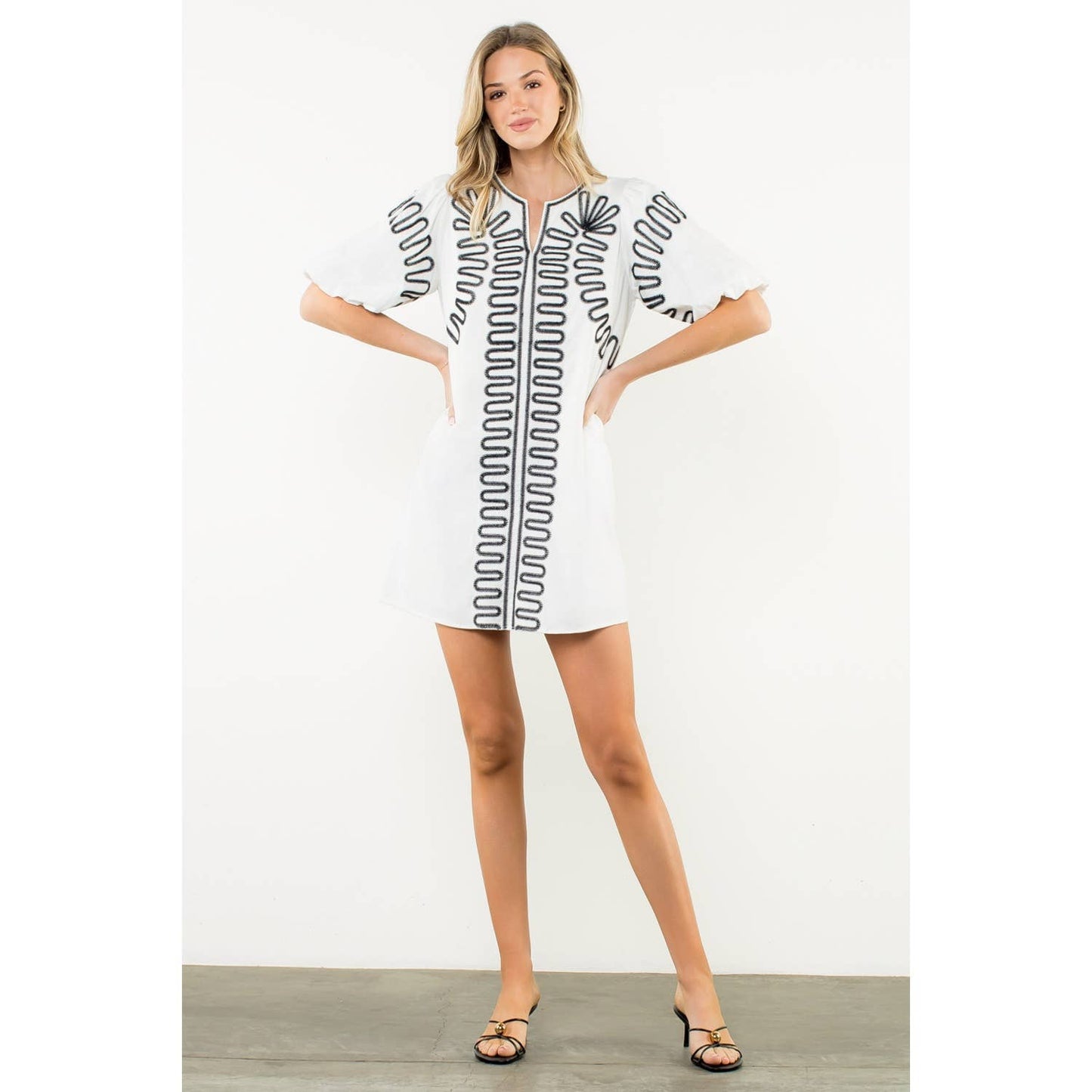 Amelia Embroidered Puff Sleeve V-Neck Dress: Black