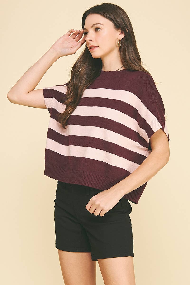 STRIPE SWEATER VEST - 4739WA: NAVY/GREY / S