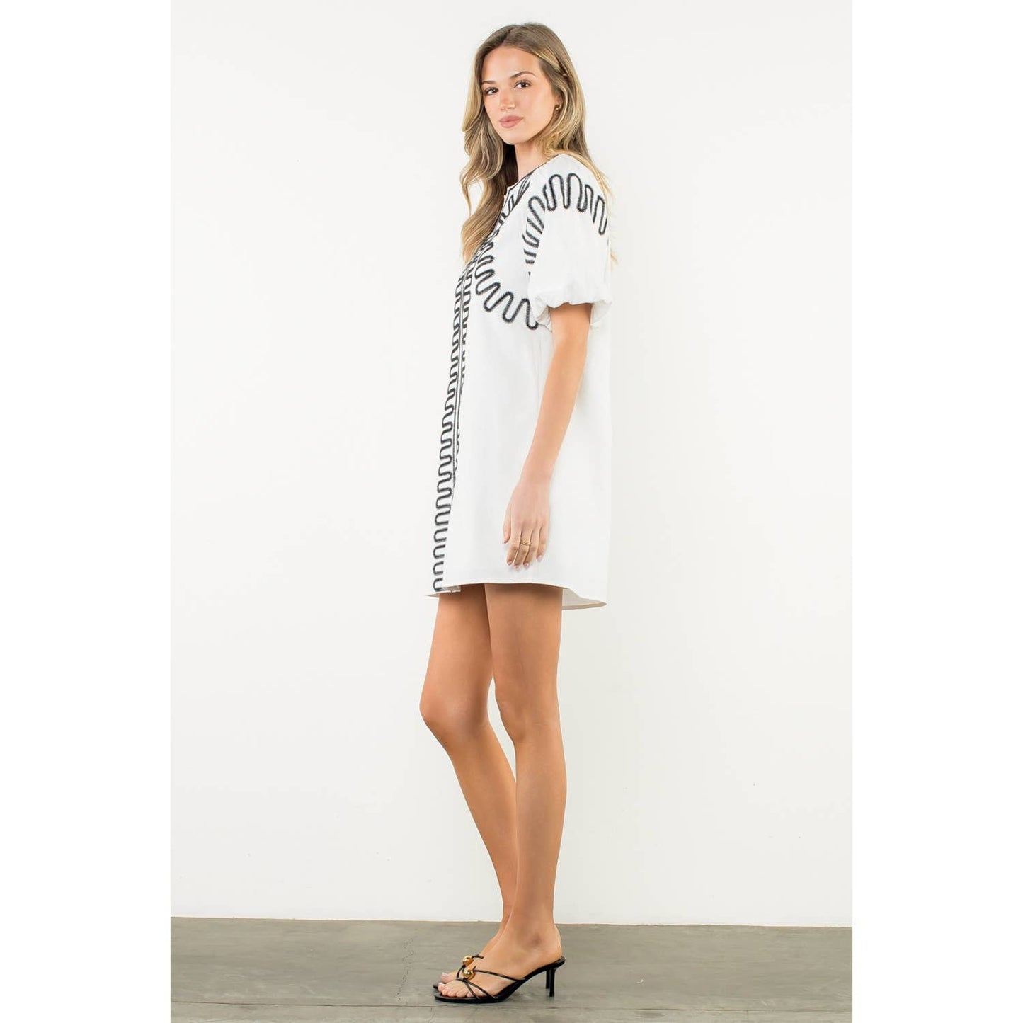 Amelia Embroidered Puff Sleeve V-Neck Dress: Black