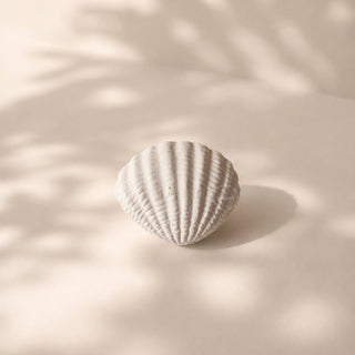 Handcrafted Sea Clam Shell Ring Box: Beige + Mother of Pearl Terrazzo