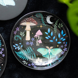 Dark Forest Dice Dish